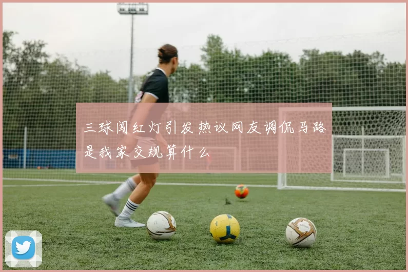 三球闯红灯引发热议网友调侃马路是我家交规算什么