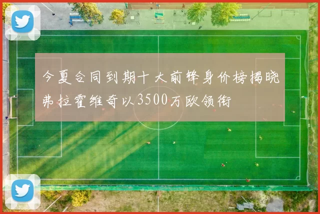 今夏合同到期十大前锋身价榜揭晓弗拉霍维奇以3500万欧领衔