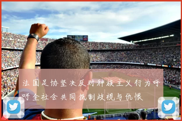 法国足协坚决反对种族主义行为呼吁全社会共同抵制歧视与仇恨